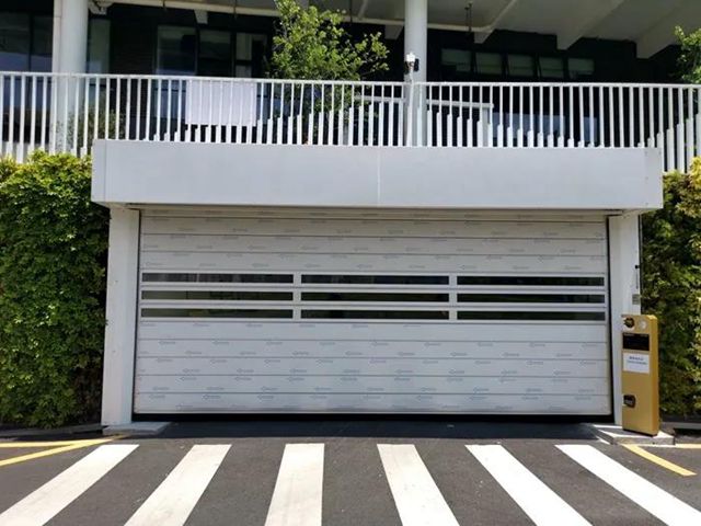 深圳市坪山區竹坑學校快速提升門.jpg